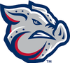 Iron Pigs logo
