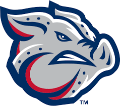 Iron Pigs
