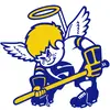 Saints logo