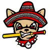 Chihuahuas logo