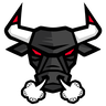 Bulls logo