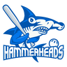 Hammerheads logo